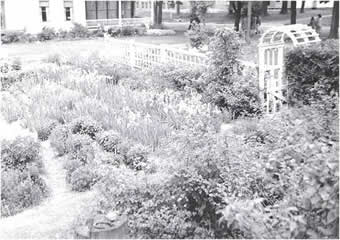 The Gardens